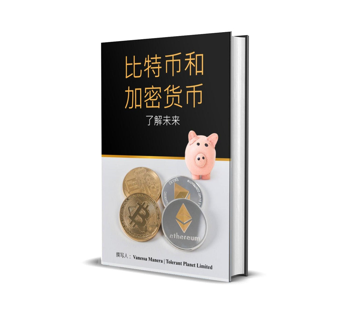 比特币-加密货币- 了解未来。 – Tolerant Planet