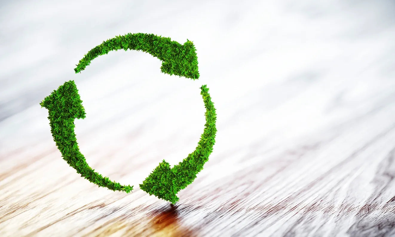 Veganuary Day 23: Minimalist and Zero-Waste Vegan Living