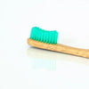 Bamboo Toothbrush - Tolerant Planet