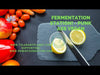 La station de fermentation - My Gut and Me