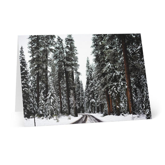 8 Pcs Holiday Greeting Cards - Tolerant Planet