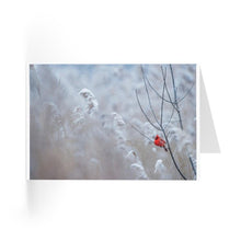  Holiday Greeting Cards (8 pcs) - Tolerant Planet