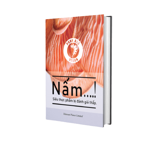 Nấm….! Siêu thực phẩm bị đánh giá thấp. - Tolerant Planet