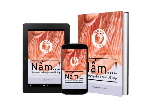 Nấm….! Siêu thực phẩm bị đánh giá thấp. - Tolerant Planet