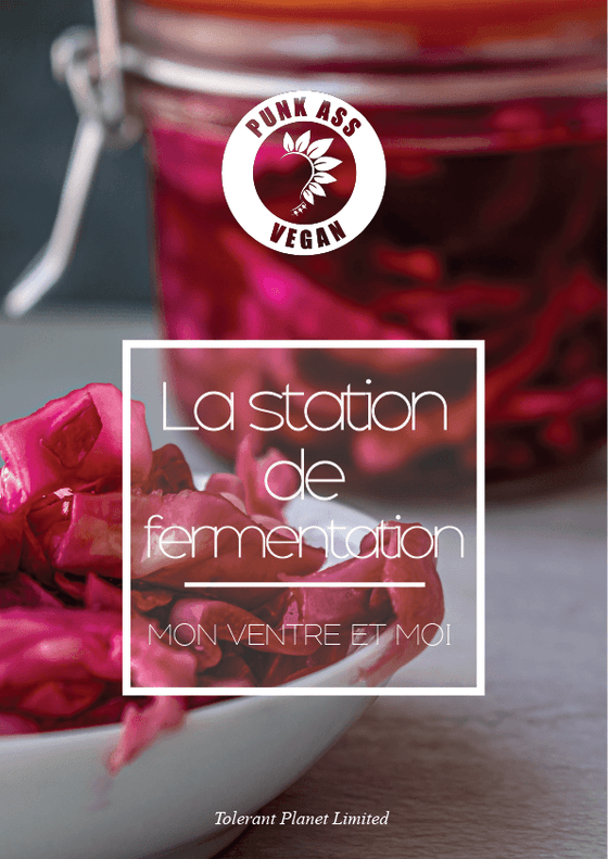 La station de fermentation - My Gut et Moi! - Tolerant Planet