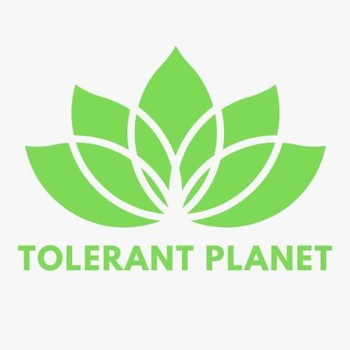 Get Rich Quick : Creatively and Consciously - Tolerant Planet