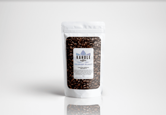 Kahole - Costa Rica Puntarenas Roasted Coffee Beans - Tolerant Planet